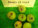 vignette pomme 'Doux et Vert',  cidre
