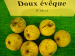 vignette pomme 'Doux Evque',  cidre