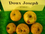 vignette pomme 'Doux Joseph',  cidre