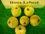vignette pomme 'Doux Lebret',  cidre