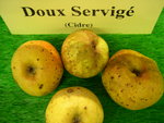 vignette pomme 'Doux Servig',  cidre