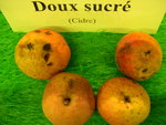 vignette pomme 'Doux Sucr',  cidre