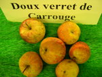 vignette pomme 'Doux Verret de Carrouge',  cidre