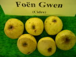 vignette pomme 'Fon Gwen',  cidre