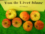 vignette pomme 'Fou de Livet Blanc',  cidre