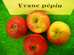 vignette pomme 'Franc Ppin',  cidre