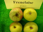 vignette pomme 'Frenelaise',  cidre