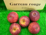 vignette pomme 'Garreau Rouge',  cidre