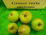 vignette pomme 'Grosse Verte Ancienne',  cidre