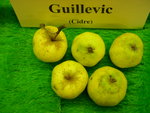 vignette pomme 'Guillevic',  cidre