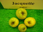 vignette pomme 'Jacquette',  cidre