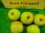 vignette pomme 'Jean Gicquel',  cidre