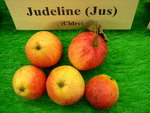 vignette pomme 'Judeline', à cidre