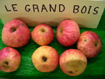 vignette pomme 'Le Grand Bois',  cidre