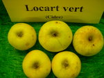 vignette pomme 'Locart Vert',  cidre