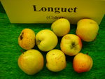 vignette pomme 'Longuet',  cidre