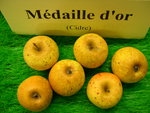 vignette pomme 'Mdaille d'Or',  cidre