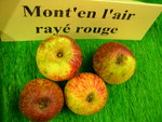 vignette pomme 'Mont'en l'air Ray Rouge',  cidre