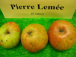 vignette pomme 'Pierre Leme',  cidre