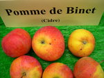vignette pomme 'De Binet',  cidre