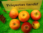 vignette pomme 'Priquetas Tardif',  cidre