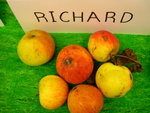 vignette pomme 'Richard',  cidre
