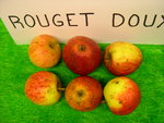 vignette pomme 'Rouget Doux',  cidre