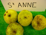 vignette pomme 'Sainte Anne',  cidre