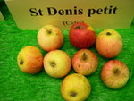vignette pomme 'Saint Denis Petit',  cidre