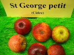 vignette pomme 'Saint George Petit',  cidre
