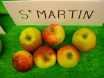 vignette pomme 'Saint Martin',  cidre