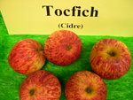 vignette pomme 'Tocfich',  cidre