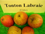 vignette pomme 'Tonton Labraie',  cidre