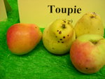 vignette pomme 'Toupie',  cidre