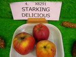 vignette pomme 'Starking Delicious'