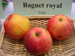 vignette pomme 'Baguet Royal'