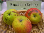 vignette pomme 'Beaublin' = 'Boblin'