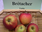 vignette pomme 'Brtacher'