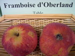 vignette pomme 'Framboise d'Oberland'