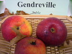 vignette pomme 'Gendreville'