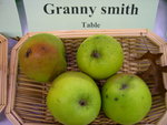 vignette pomme 'Granny Smith' = 'Challenger'