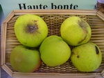 vignette pomme 'Haute Bont' = 'Haute Bont de Lanrelas'