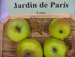 vignette pomme 'Jardin de Paris'