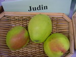 vignette pomme 'Judin' = 'Juden'