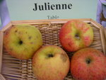 vignette pomme 'Julienne'