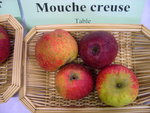 vignette pomme 'Mouche Creuse'