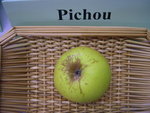 vignette pomme 'Pichou'