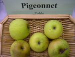 vignette pomme 'Pigeonnet'