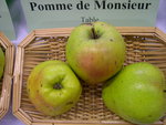 vignette pomme 'de Monsieur'