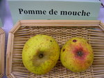 vignette pomme 'de Mouche'